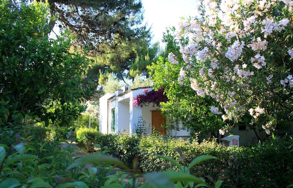 Villaggio Turistico Residence Delfino Vieste Buitenkant foto