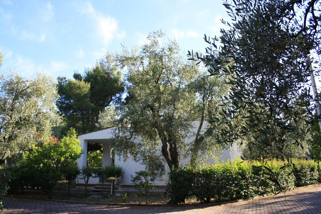 Villaggio Turistico Residence Delfino Vieste Buitenkant foto