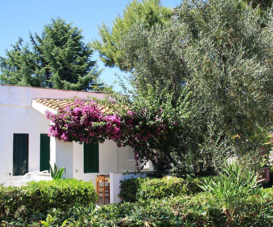 Villaggio Turistico Residence Delfino Vieste Buitenkant foto