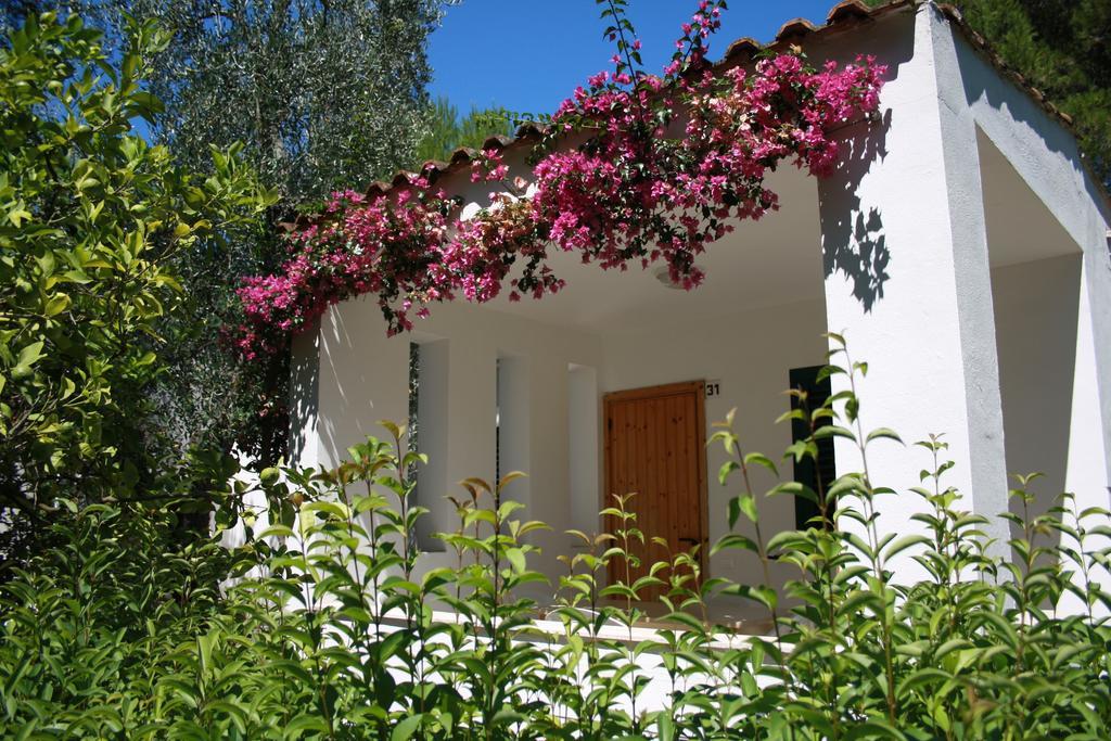 Villaggio Turistico Residence Delfino Vieste Buitenkant foto