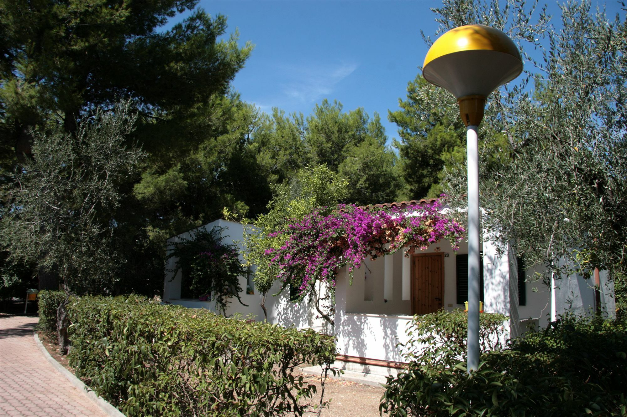 Villaggio Turistico Residence Delfino Vieste Buitenkant foto